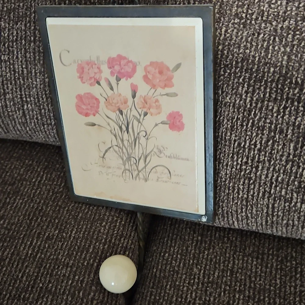 ❤️Floral Wall Hook with Red and Pink Carnations